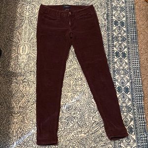 American eagle burgundy corduroy pants